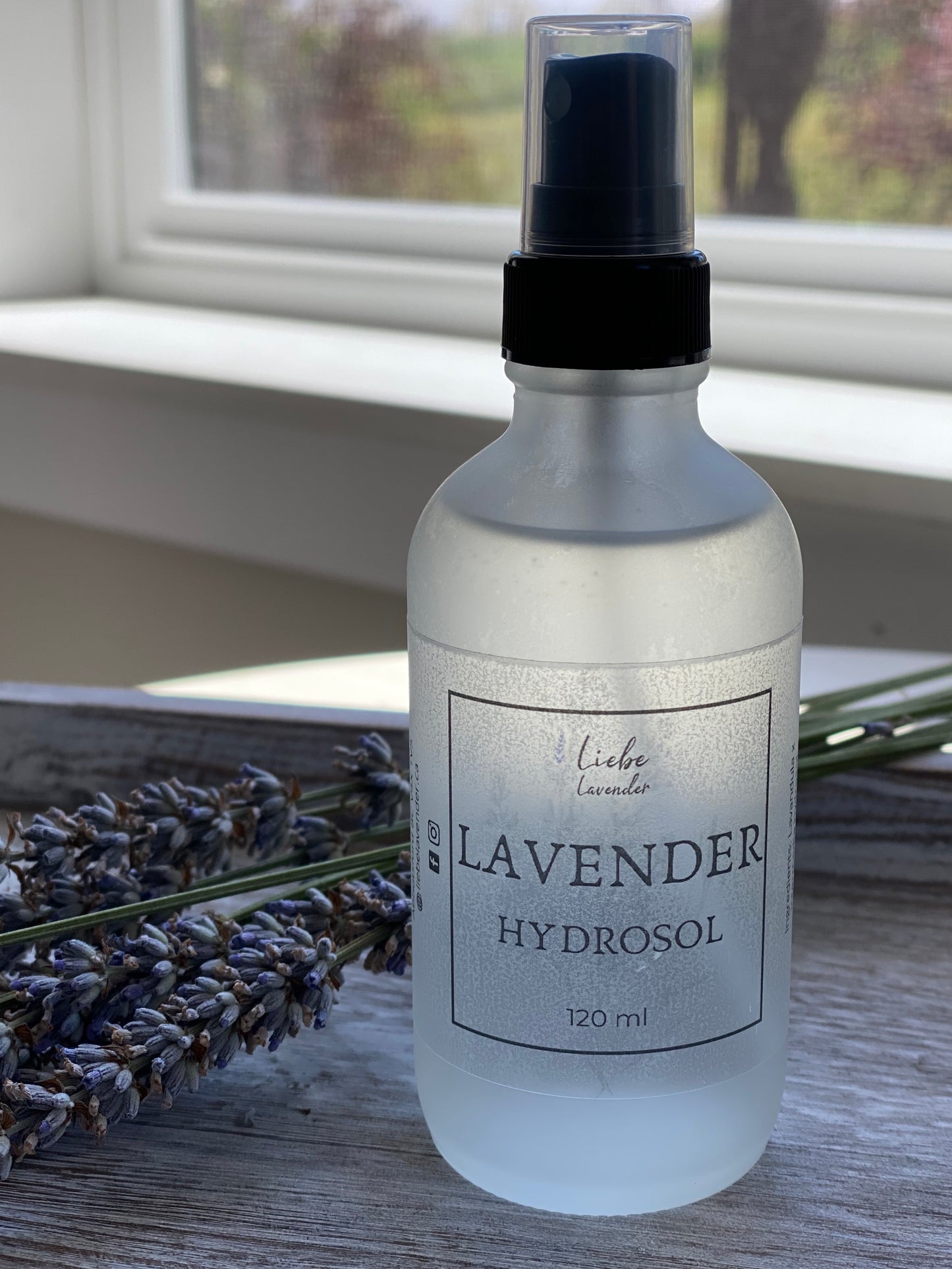 Lavender Hydrosol