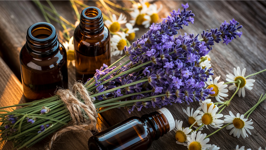 Why Your Lavender Doesn’t Smell the Same After an Hour (And Other Fragrance Secrets)