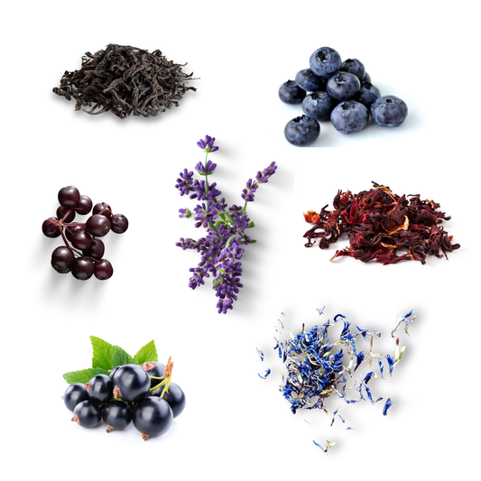 Lavender Wild Blueberry