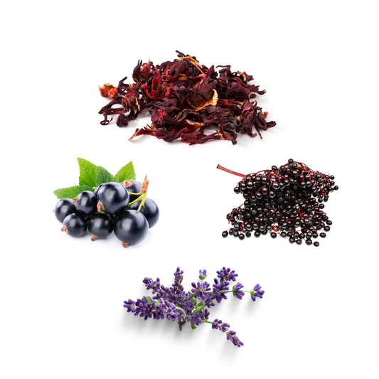 Lavender Elderberry & Hibiscus